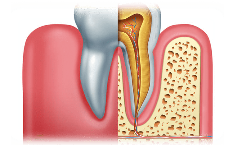 مرکز درمان ریشه و ترمیم دندان در هروی